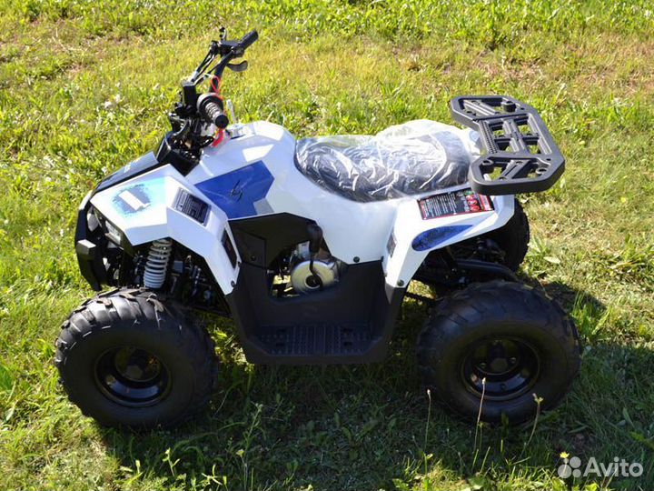 Квадроцикл TAO Motor Mudhawk 110