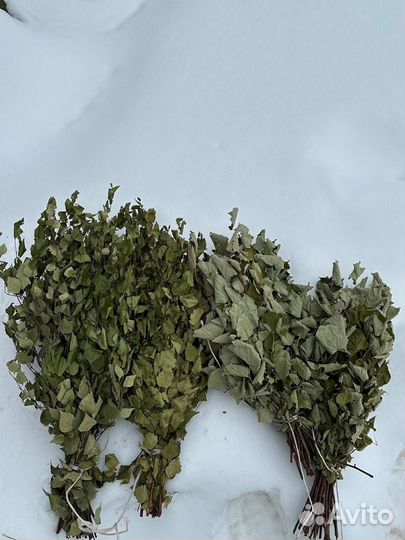 Веники для бани береза