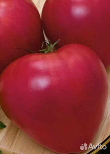 Томат Бычье сердце ассорти