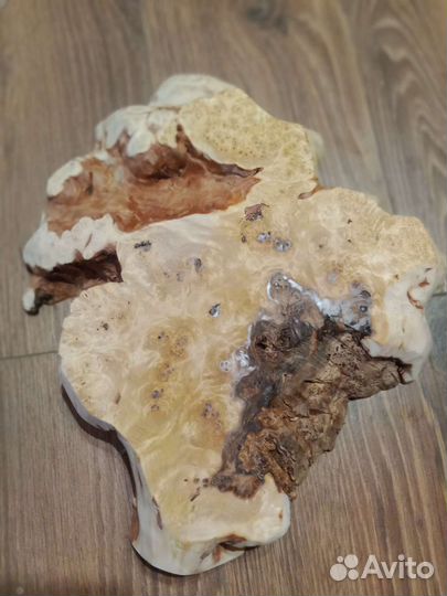 Кап березовый