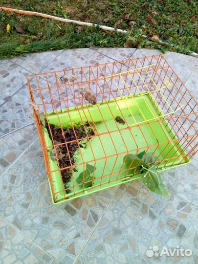 Клетка для грызунов