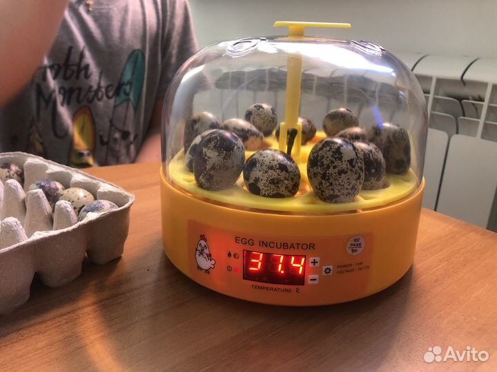Инкубатор автоматический на 6 кур./12 перепел. яиц