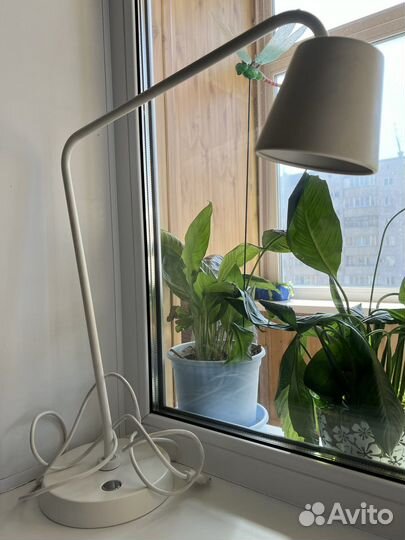 Лампа настольная икеа тисдаг