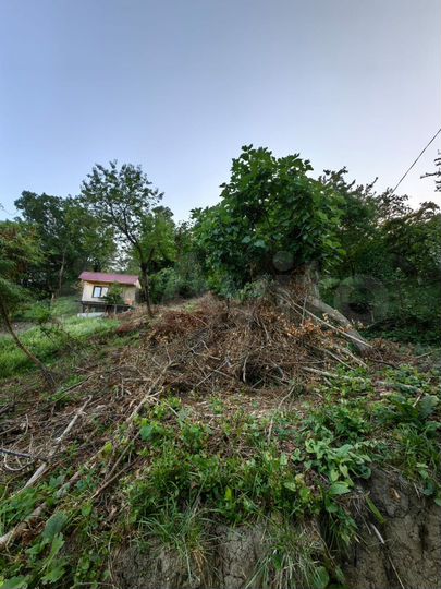 Участок 12 сот. (СНТ, ДНП)