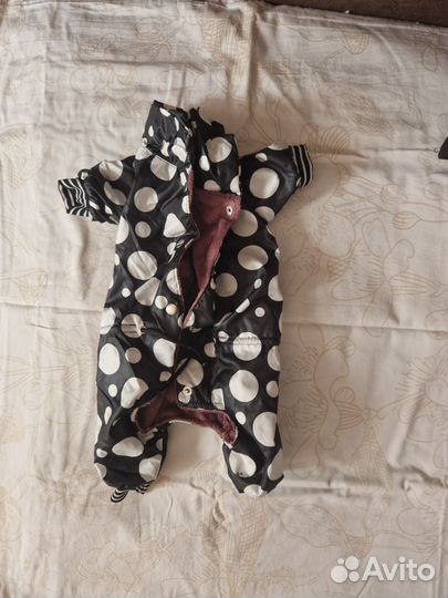 Одежда для маленьких собак