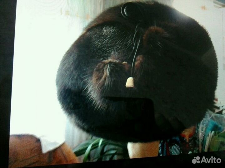 Шапка из норки