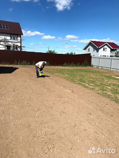 Посев газона под ключ. Озеленение участка