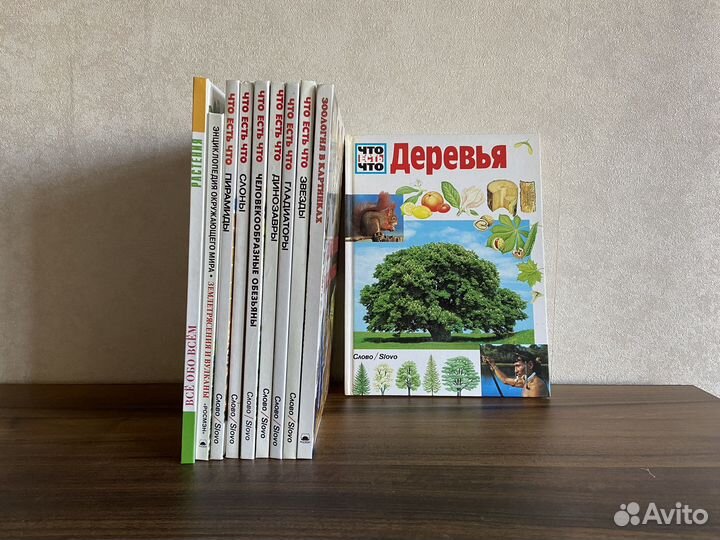 Детская энциклопедия