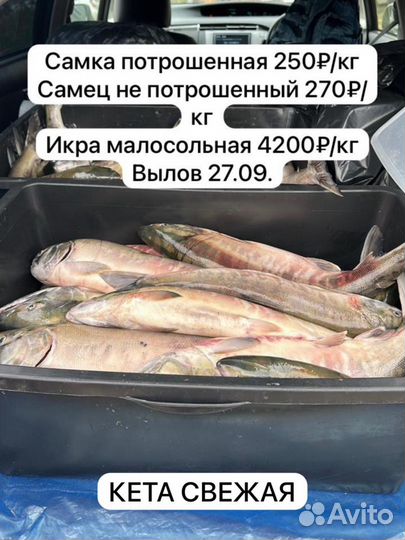 Красная икра/кета