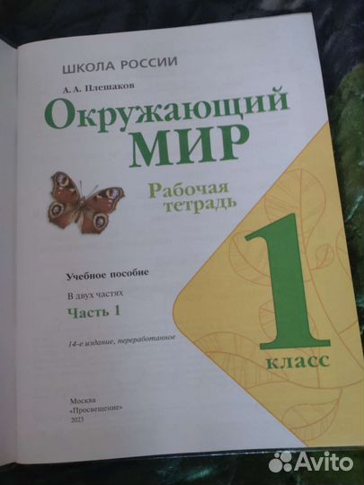 Рабочая тетрадь окружающий мир 1 класс
