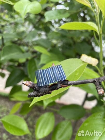 Украшения из бисера