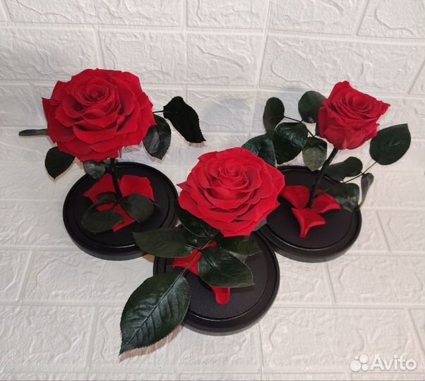 Роза стабилизированная в колбе