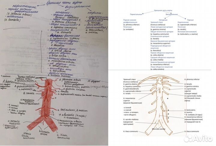 Наборщик текста, оформление документа