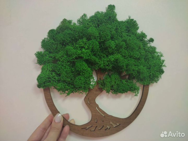 Панно из стабилизированного мха