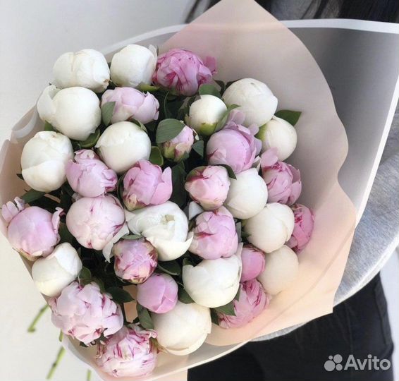 Пионы цветы букеты