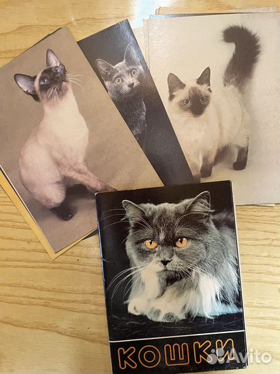 Кошки. набор открыток. 1991 Г