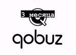 3 месяца. Qobuz Studio Premier Hi-Res. (Подписка)