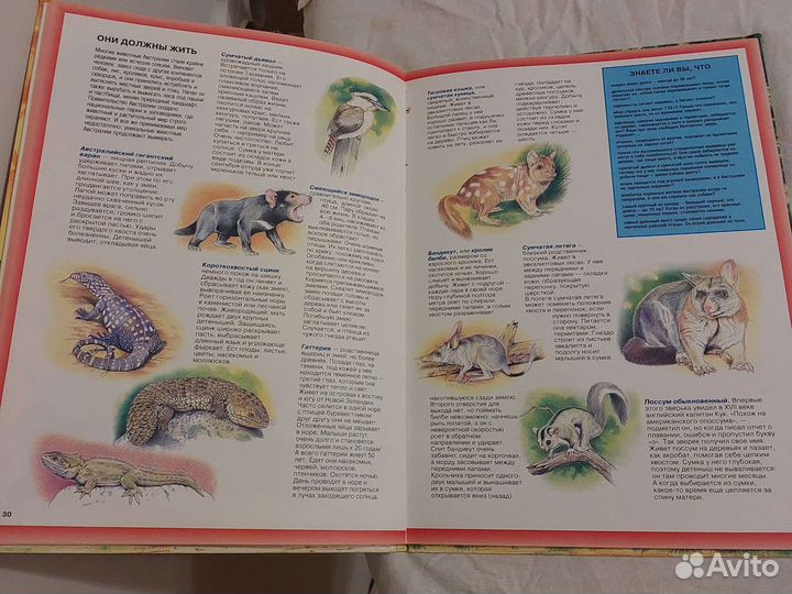 Детские книги о природе формат А4