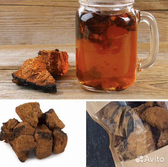 Чага Берёзовая