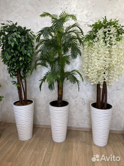 Искусственные растения