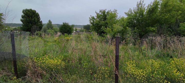 Участок 5,5 сот. (СНТ, ДНП)