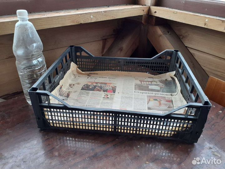 Ящик пластмассовый для овощей