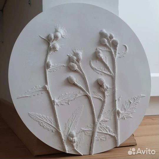 Гипсовый ботанический барельеф