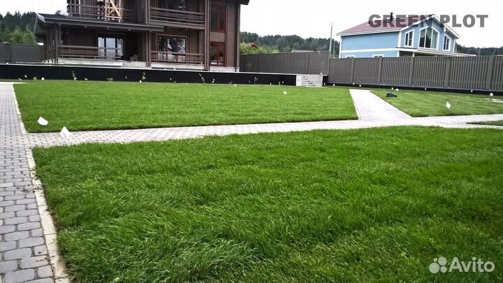 Рулонный газон от производителя