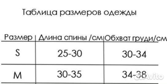 Одежда для животных