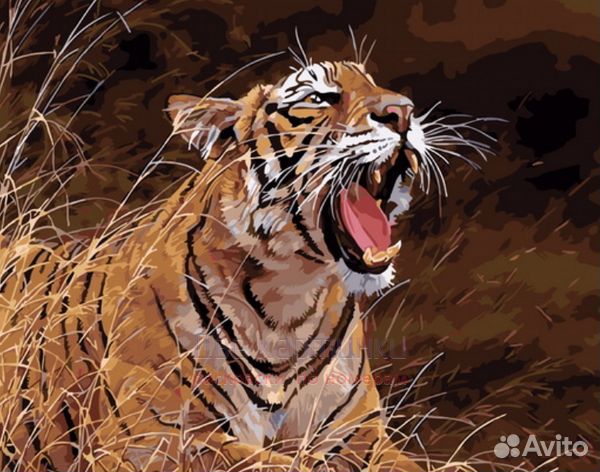 Картина по номерам 40x50 Грозная