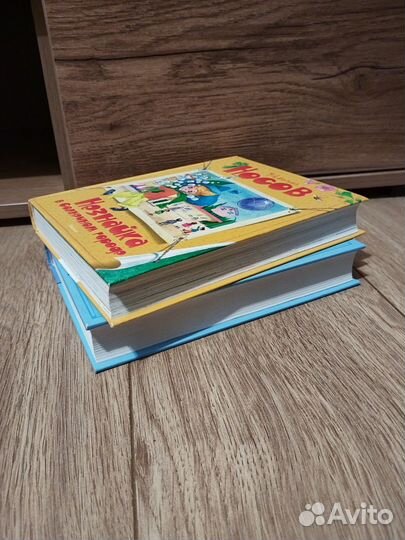 Н.Носов. Незнайка на луне. Незнайка в солнечном г