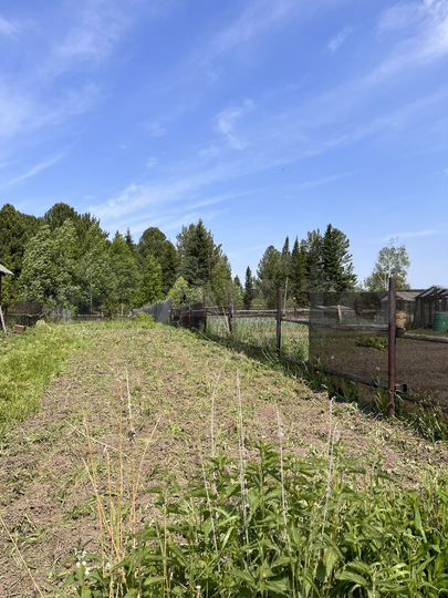 Участок 5 сот. (СНТ, ДНП)