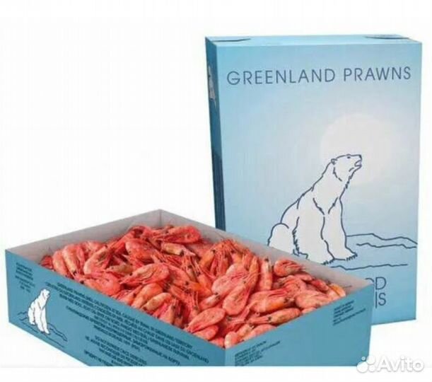 Креветка северная