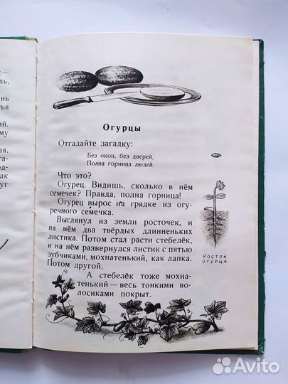 Книга о растениях. 1956 г. Л.Ф.Кон Изд.детгиз