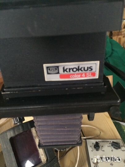 Krokus color 4 sl