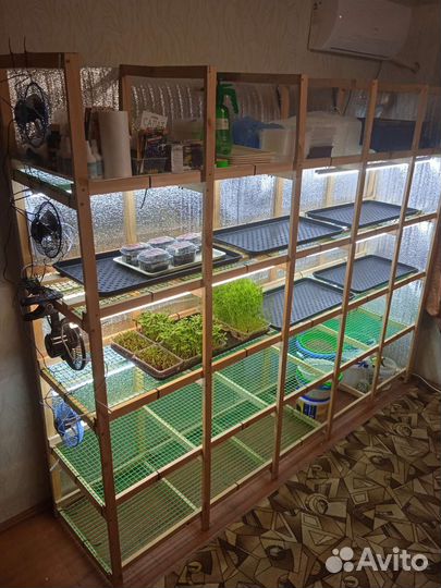 Стеллаж микрозелень гидропоника
