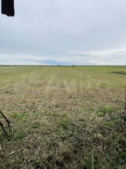 Дом 52 м² на участке 34 сот.