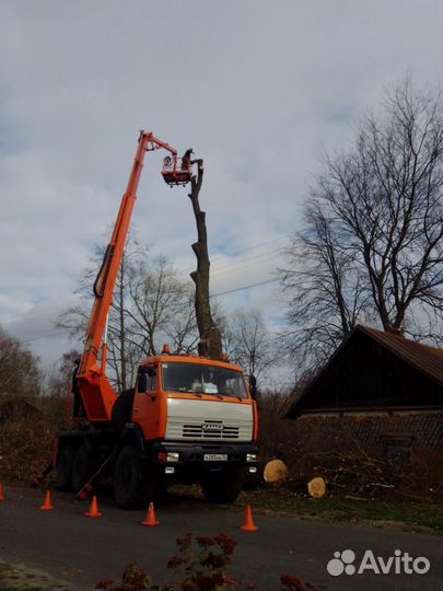 Спиливание аварийных деревьев, кронирование