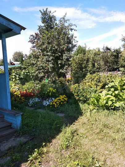 Дача 41 м² на участке 5,3 сот.