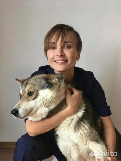 Ветеринарный врач крулосуточно