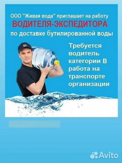 Водитель экспедитор категория в