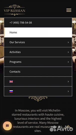 WEB сайт, с доменом, многостраничный