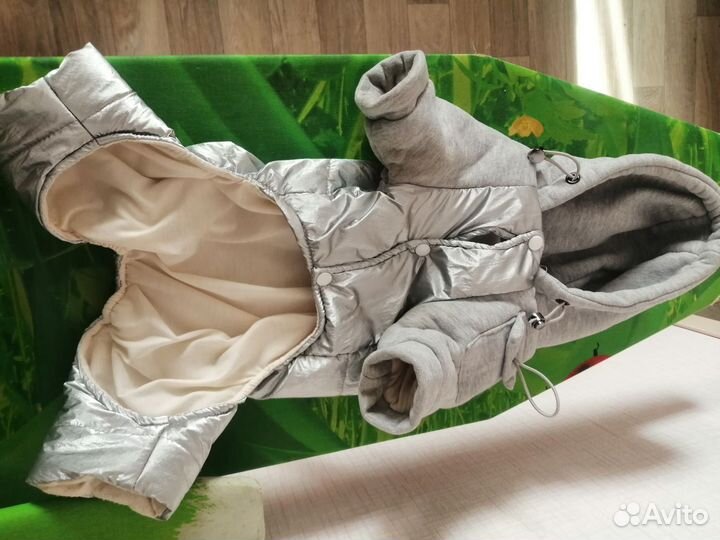 Одежда для собак