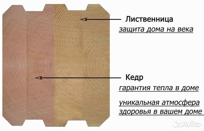 Комбинированный кленный брус дуб кедр и доугой