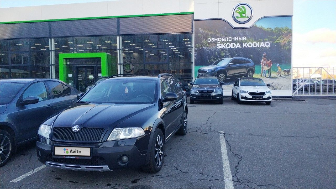 Skoda Octavia: фото владельца