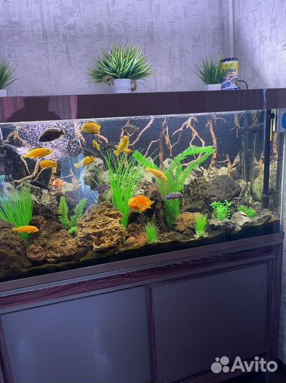 Украшение для аквариума