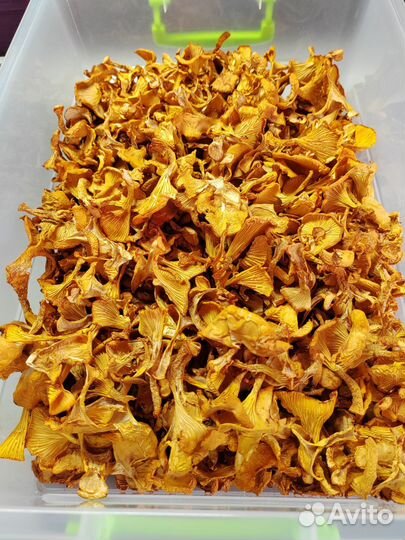 Сушеные грибы лисички 2024