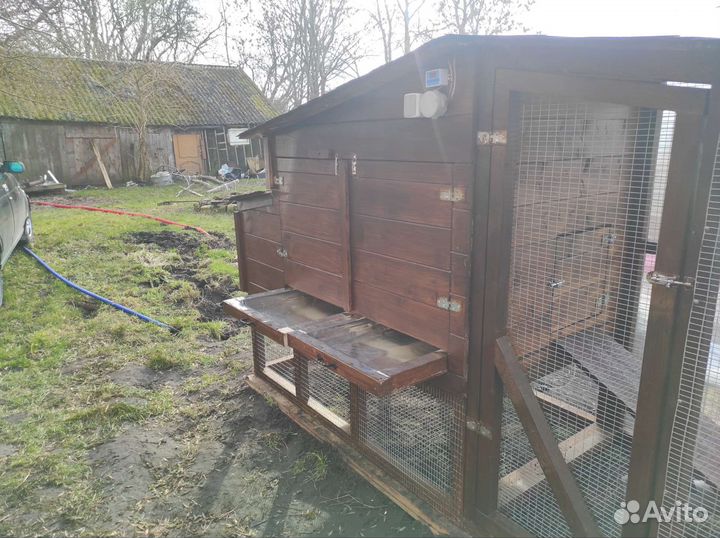 Курятник зимний, летний, автоматизированный