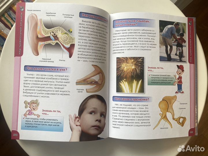 Книги детские новые