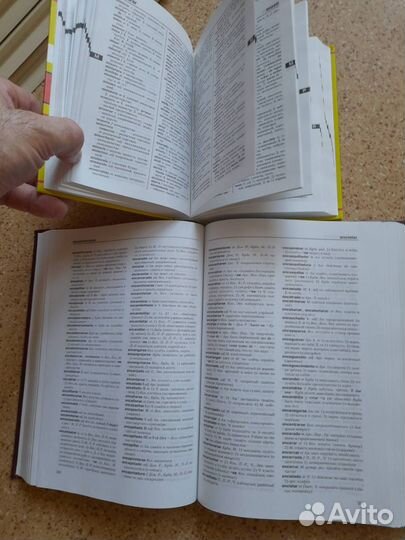 Русско испанский словарь